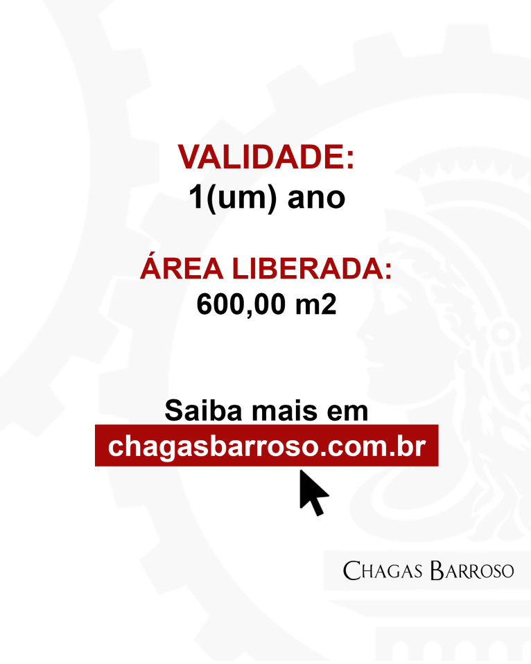 CERITIFCADO DE FUNCIONAMENTO PROVISÓRIO - SUPERMERCADO - SANTA LUZIA - MG - ENGENHEIRO LEVI DAS CHAGAS BARROSO FILHO